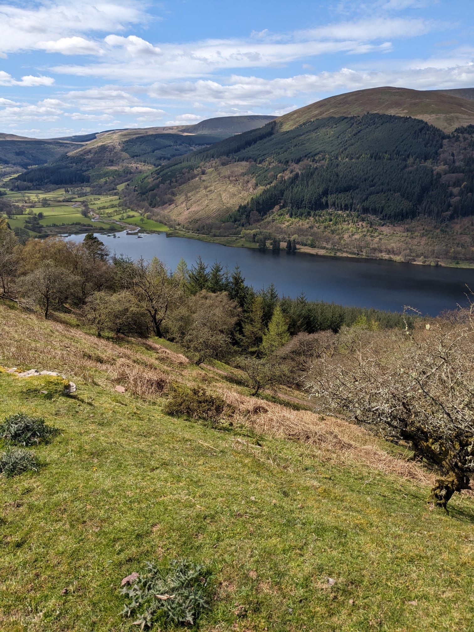 Talybont 2